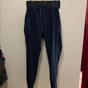 BIRDDOGS boom. for your broomstick Men's Navy Jogger Pants EUC